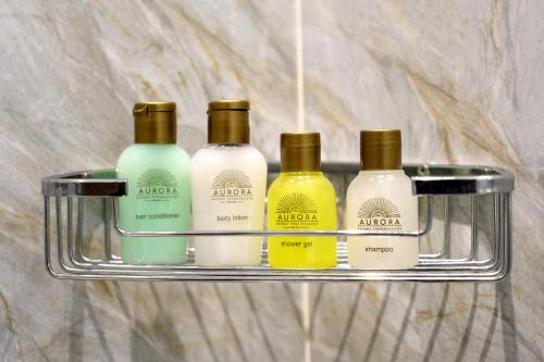  Aurora Resort Tsaghkadzor -  Room  picture :   Tea/Coffee maker    Shower    Bath                           