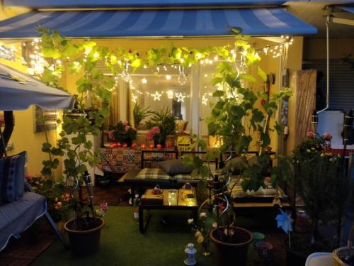 een woonkamer met veel planten en verlichting bij Gemütliches Zimmer in ruhiger Umgebung in Lyss
