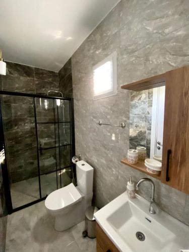 a bathroom with a toilet and a sink and a shower at Limonlu Bahçe Butik Otel in Karaburun