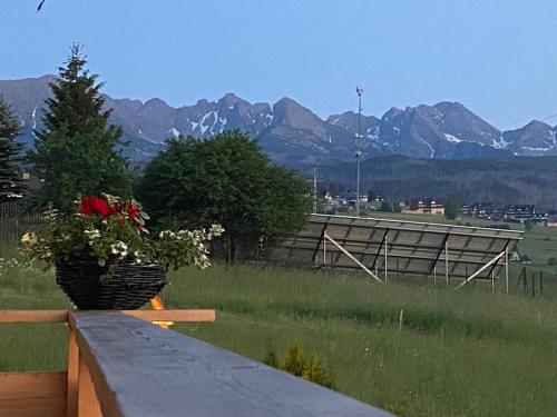 a flower basket on a fence with mountains in the background at Siumno Chatka domki z ruską balią in Murzasichle