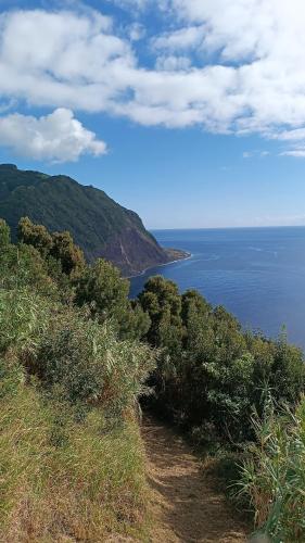 a view of the ocean from a hill with trees at Avó da Rosa 2 in Faial da Terra