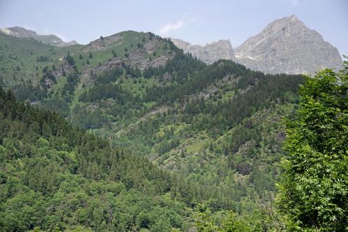 Paisaje cerca de este apartamento