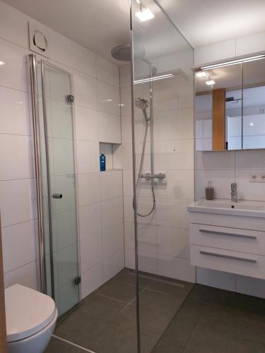a bathroom with a shower and a toilet and a sink at Wohnung *AusZeit* in Weiler