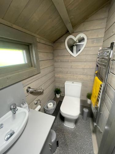 a small bathroom with a toilet and a sink at Daisy Cabin in Kincardine OʼNeil
