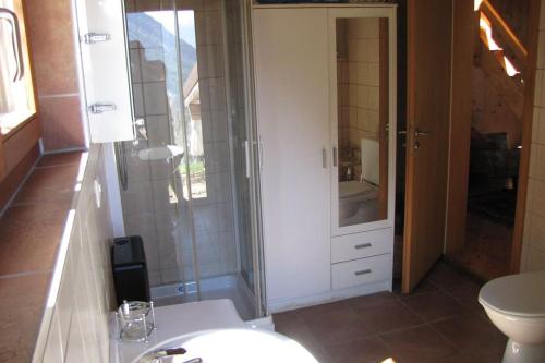 a bathroom with a shower and a toilet and a sink at Chalet de Bébert in Conthey