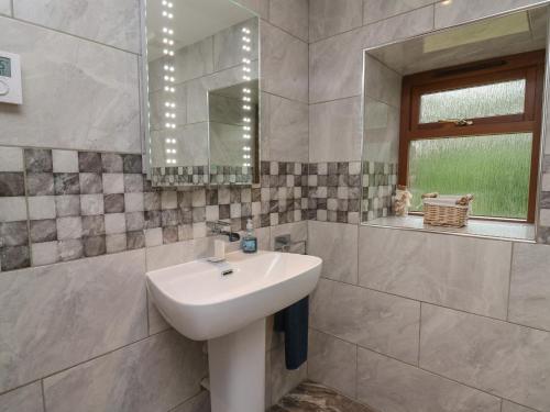 a bathroom with a sink and a mirror at Gelli Barn in Llandeilo