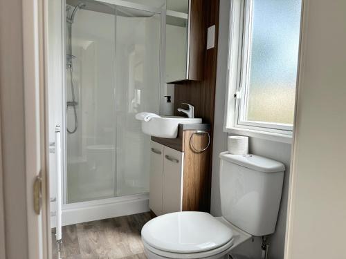 een badkamer met een toilet, een wastafel en een douche bij Chalet 572 op Recreatiepark De Wielen in Sint Maarten