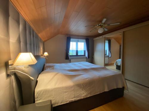 a bedroom with a bed and a ceiling fan at Hébergement à 20 min à pied du circuit Spa-Francorchamps in Malmedy