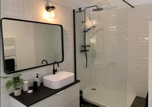een badkamer met een wastafel en een douche met een spiegel bij Chambre à louer in Arnage