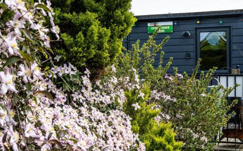 Taman di luar UPSIDE DOWN HOUSE - Sleeps up to 6 Guests - Great for Family and Friends Gatherings,Corporate events ,Near Sherwood Forest at Fairview Farm in Nottingham set in 88 acres