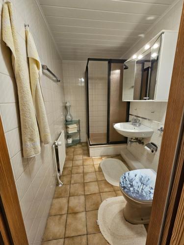 a bathroom with a shower and a toilet and a sink at FEWO Weissenhäuser Strand in Wasbuck