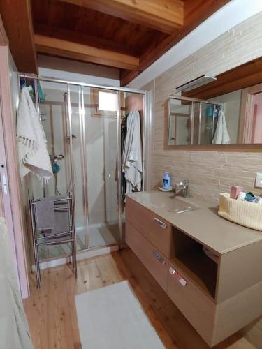 a bathroom with a shower and a sink and a mirror at Appartamento- Godendosi la vista in Comano