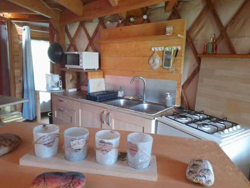 une cuisine avec un évier et une cuisinière four supérieur dans l'établissement Charmante Yourte contemporaine, à Carmaux