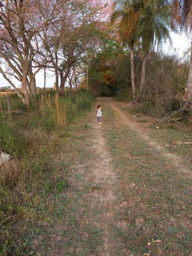 Santas Hogar – Photos 4