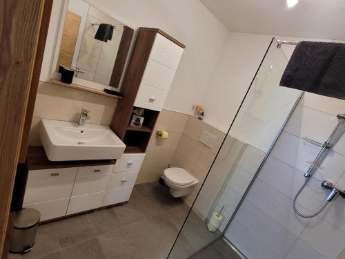 a bathroom with a sink and a toilet and a shower at Apartment in Pitztal near Ski Glacier in Oberlehn