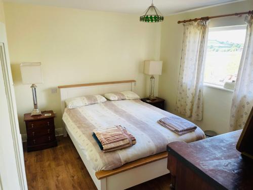 a bedroom with a bed with two lamps and a window at Cutteen Cottage in Tulla