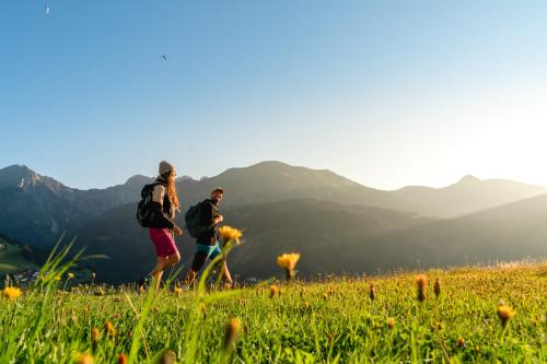 Alpenhotel Wanderniki