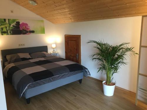 a bedroom with a bed and a potted plant at Ferienhaus am Wald in Friesenried