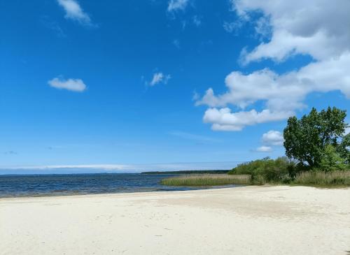 Photo de la galerie de l'établissement Maison de vacances 2 chambres plages lac à 600m proche Dune du Pilat Océan dans propriété privée, à Sanguinet