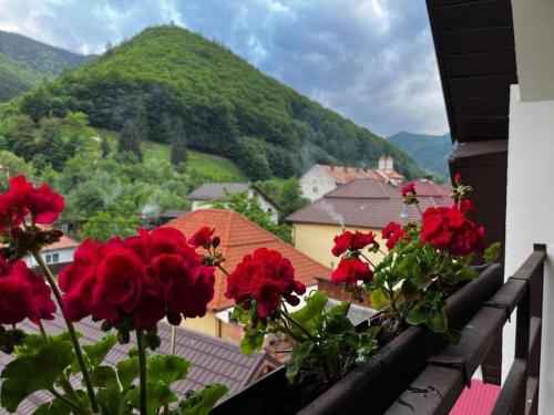 a group of red flowers on a balcony with a mountain at Montagnoli Luxury Villa in Cluj-Napoca
