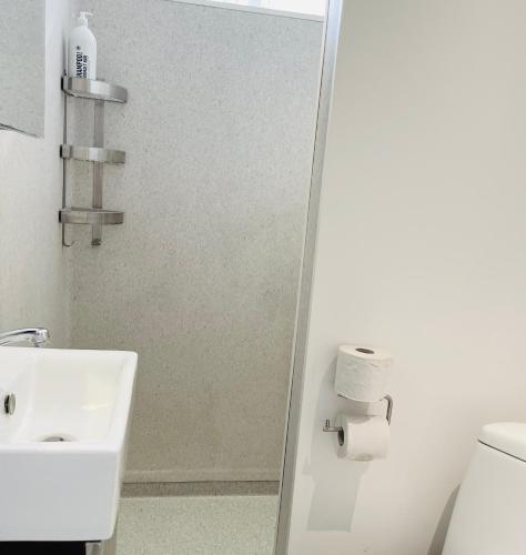 a bathroom with a sink and a toilet and a mirror at Scandinavian Apartment Hotel -Lunden 2- Central 2 room apartment in Horsens