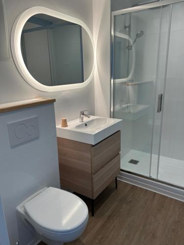 uma casa de banho com um WC, um lavatório e um espelho. em LE RELAIS DES HAYONS 