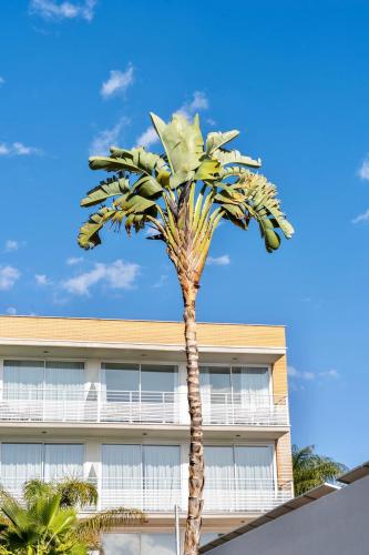 a palm tree in front of a building at Altafulla Mar Hotel in Altafulla