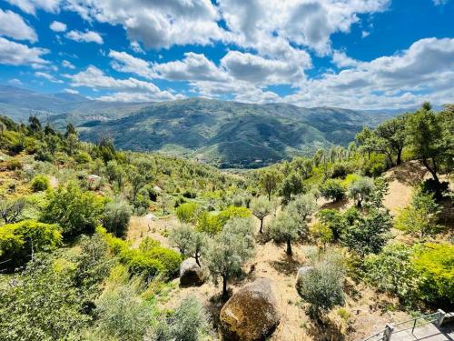 a view of a valley with trees and mountains at Quinta Alma Verde in Póvoa das Quartas