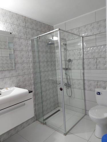 a bathroom with a shower and a toilet at HOTEL CARMINA in Ranca