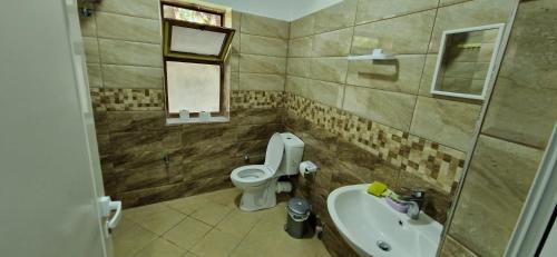 a small bathroom with a toilet and a sink at Bar-Restaurant-Hotel-Familja in Klos