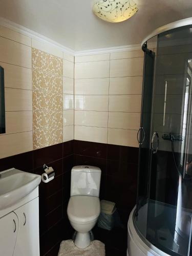 a bathroom with a toilet and a glass shower at Smerichka in Bukovel