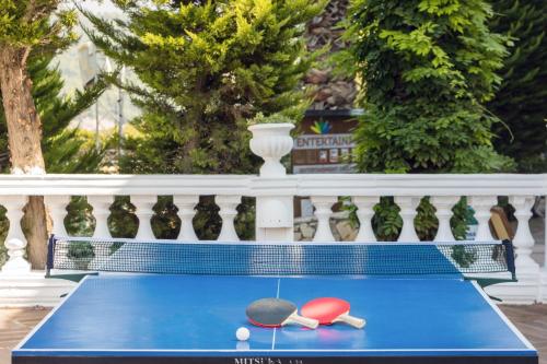 a ping pong table with two ping pong balls on it at Labranda Ephesus Princess - All Inclusive in Kusadası