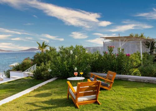 two chairs and a table on a lawn near the water at Design Plus Seya Beach Hotel in Alacati