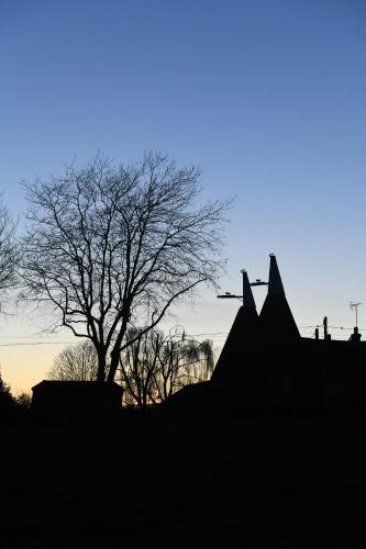 a silhouette of a tree and a building at SHEPHERDS HUT in Kent