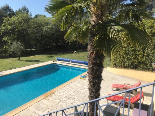 una palma accanto a una piscina con una palma di Solio a Meyrargues