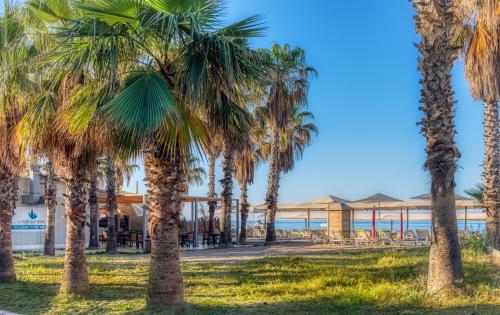 una fila de palmeras frente a una playa en Labranda Excelsior Hotel en Side