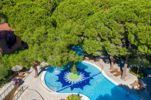 an overhead view of a pool at a resort at Asteria Family Resort Belek in Belek
