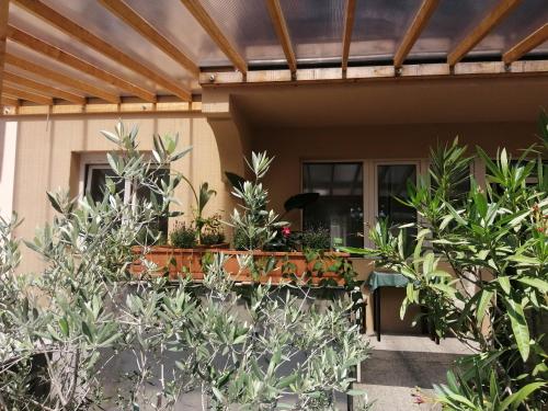 a house with plants on the side of it at Filsdeger Ház - Central Rooms & Apartmans in Eger