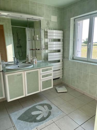 une salle de bain avec un lavabo et un miroir dans l'établissement Maisonnette à l’orée des vignes, à Lye