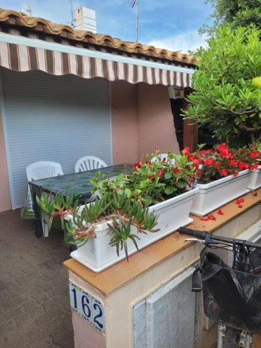 Port La Roquille- 162- Appart clim- 6 pers