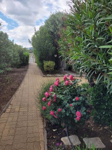 un jardin avec des fleurs roses et une passerelle en briques dans l'établissement Port La Roquille- 162- Appart clim- 6 pers, au Cap d'Agde