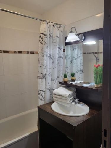 La salle de bains est pourvue d'un lavabo et d'une douche avec baignoire. dans l'établissement Appartement proche Disney Paris, à Montévrain
