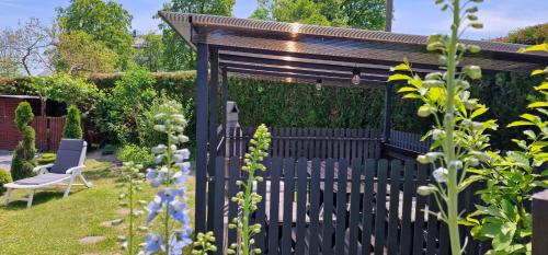 a black fence in a garden with a pergola at Pokoje u Agaty in Solec-Zdrój