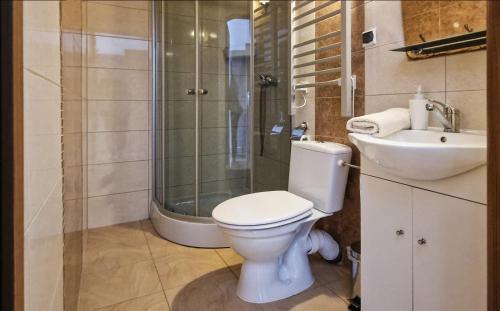 a bathroom with a toilet and a shower and a sink at Pokoje u Agaty in Solec-Zdrój