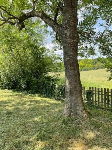 un arbre dans un champ à côté d'une clôture dans l'établissement 2 Maisons à 45 minutes de Paris, à Ouerre