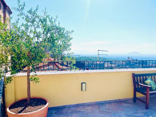 a plant in a pot next to a bench on a balcony at Casa Checca e Casa Maria appartamenti per vacanze in Caprarola