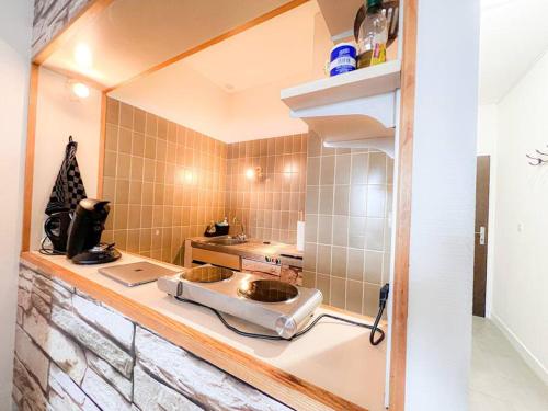 - une cuisine avec un comptoir et un évier dans l'établissement Vue quai de Saône Aurore, à Chalon-sur-Saône
