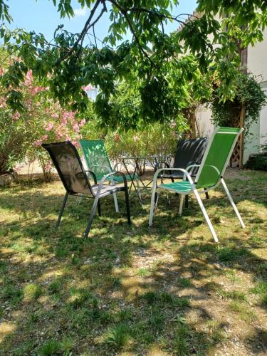 two chairs sitting in the grass under a tree at Les Glycines in Le Vigan