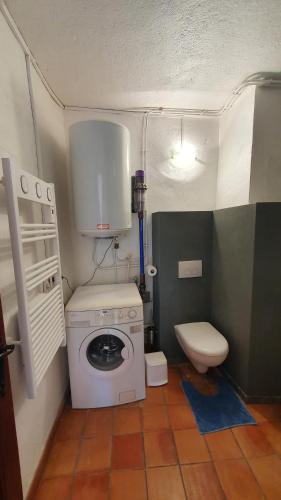 baño pequeño con lavadora y aseo en La Magnanerie en Portes-en-Valdaine