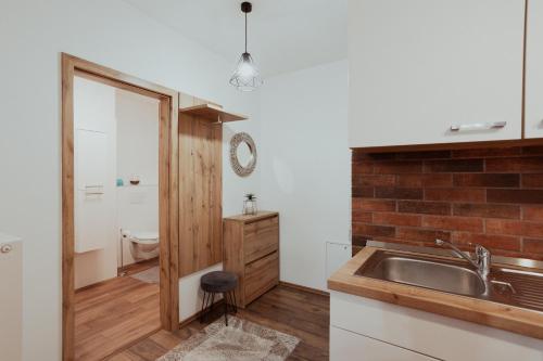 a kitchen with a sink and a bathroom with a toilet at Apartmány Starý trh in Kežmarok